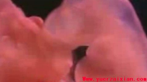 揭秘人类性别是如何形成的