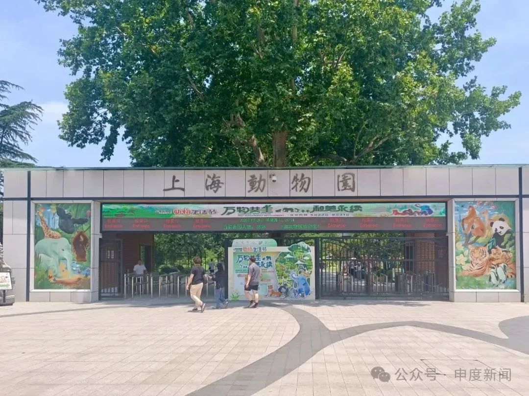 唯一母婴室在大门外，10月龄婴儿展馆内喝奶被赶出！上海动物园称做法合规，网友吵翻