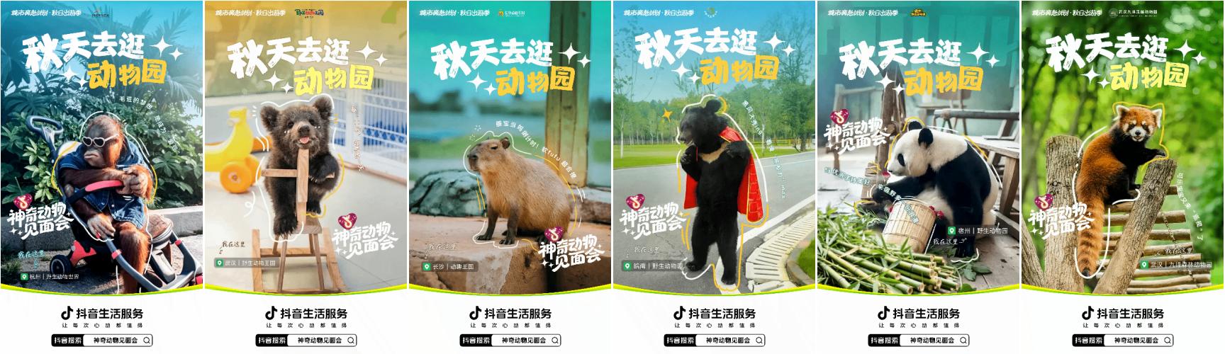 从练习生到顶流:抖音「神奇动物」出道天团迎来高光时刻 第 2 张 从练习生到顶流:抖音「神奇动物」出道天团迎来高光时刻 第 2 张