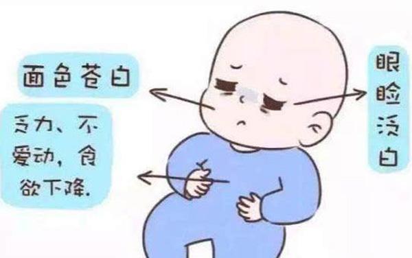 儿童贫血问题引起社会广泛关注 需通过母婴营养均衡预防