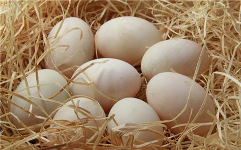 台湾蛋品检出二恶英含量超标 14万颗鸡蛋被封存