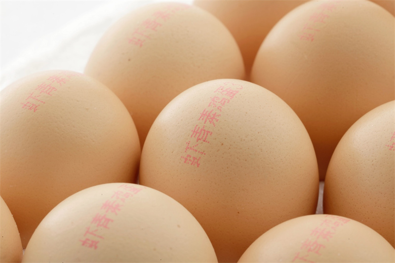 科技赋农 + 大健康风口，帕洛农场的功能鸡蛋凭什么出圈? 第 3 张